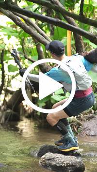 BIB:  <button type="button" onclick="openModal(27825604)" class="btn btn-primary btn-sm float-right" data-toggle="modal" data-target=".modal-high-quality">
                <i class="fa fa-download"></i> Download
                </button>